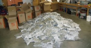 500 lbs of marijuana found in tractor trailer