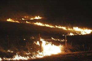 truck driver dies in kansas wildfire