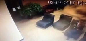 semi crash wave of grain into Portland apartment lobby