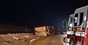 spilled cat litter in pennsylvania